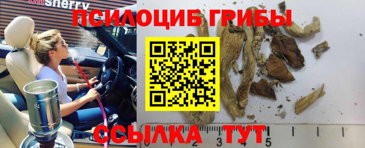 Галлюциногенные грибы Magic Shrooms  купить наркотик  Вход с VPN  Обнинск  Псилоцибиновые грибы прущие грибы 